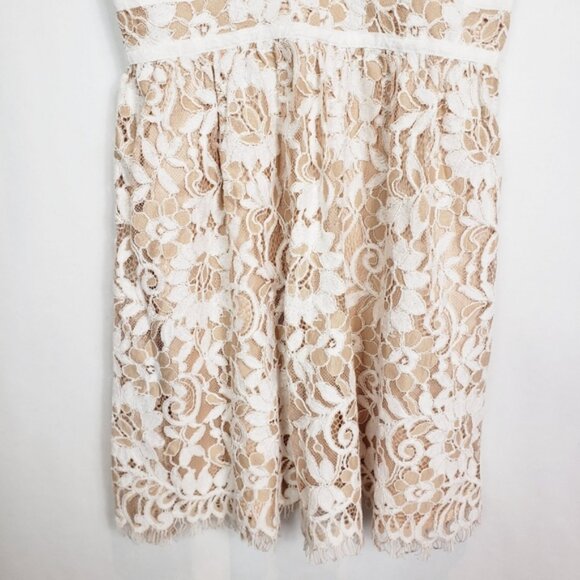 NBD lace mini dress - Picture 3 of 11